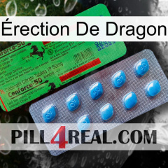 Érection De Dragon new03